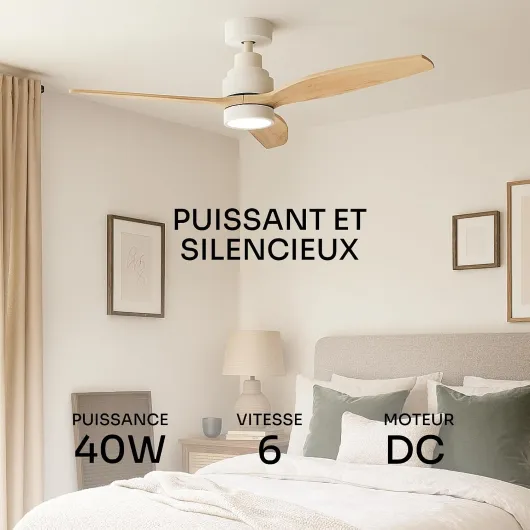 Ventilateur de plafond avec télécommande Brizy! Bright 45W - Lampe puissante - Ultra silencieux - 3 lames - Diamètre 132cm - 6 vitesses - Refroidissement + LED intégrée - Bois clair Bois Clar Lumière